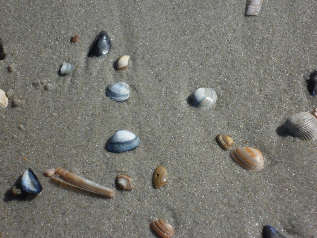 Strandleben 4 room 2