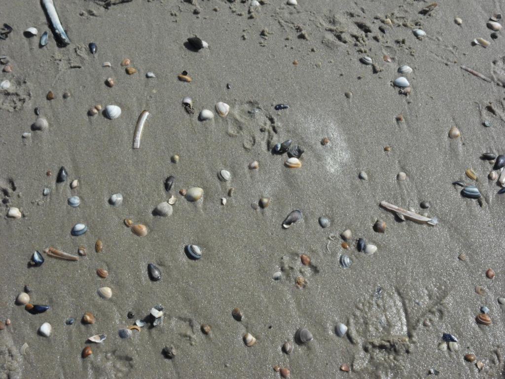 Strandleben 4 room 3